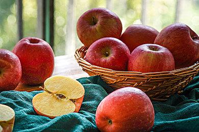 《東方幻想麻雀》Steam页面上线 年内发售